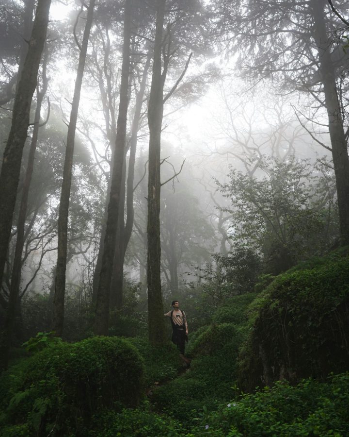 Malveira da Serra